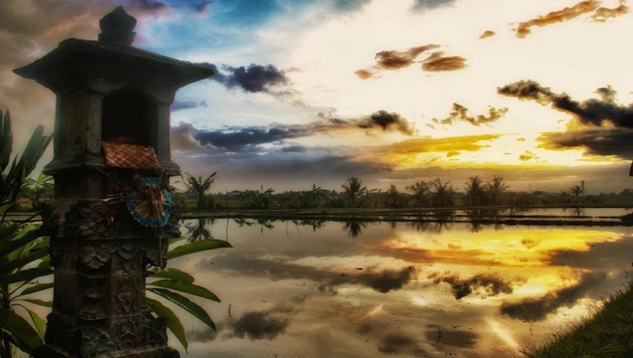 Pnb Bali Villas Canggu Екстериор снимка